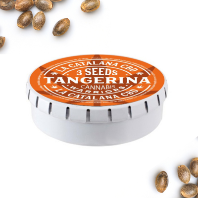 semillas de cbd tangerina