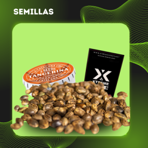 Semillas THC / CBD